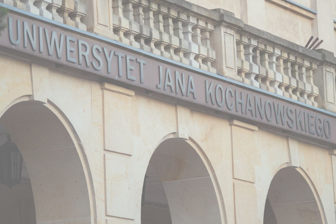 Kierunki studiów