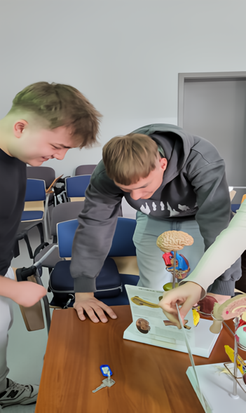 Zdjęcie przedstawia salę lekcyjną, w której trzy osoby stoją przy drewnianym stole z anatomicznym modelem ludzkiego mózgu. Model, umieszczony na stojaku, ma kolorowe sekcje przedstawiające różne części mózgu. Obok leży niebieski kluczyk i karta informacyjna. W tle widać puste krzesła ustawione w rzędach oraz częściowo widoczne zamknięte drzwi.