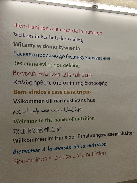 Obraz przedstawia ścianę z wielojęzycznym powitaniem, zapisanym w wielu linijkach – każda w innym języku i kolorze. Tekst jest ułożony pionowo i wyśrodkowany. Powitania mają różne kolory, m.in. czerwony, fioletowy, niebieski, zielony, pomarańczowy, brązowy i czarny. Tło stanowi jasna, prawdopodobnie biała lub lekko kremowa ściana. Na górze widoczny jest metaliczny pasek, sugerujący oświetlenie nad napisem. Tablica wita odwiedzających w „domu żywienia”.
