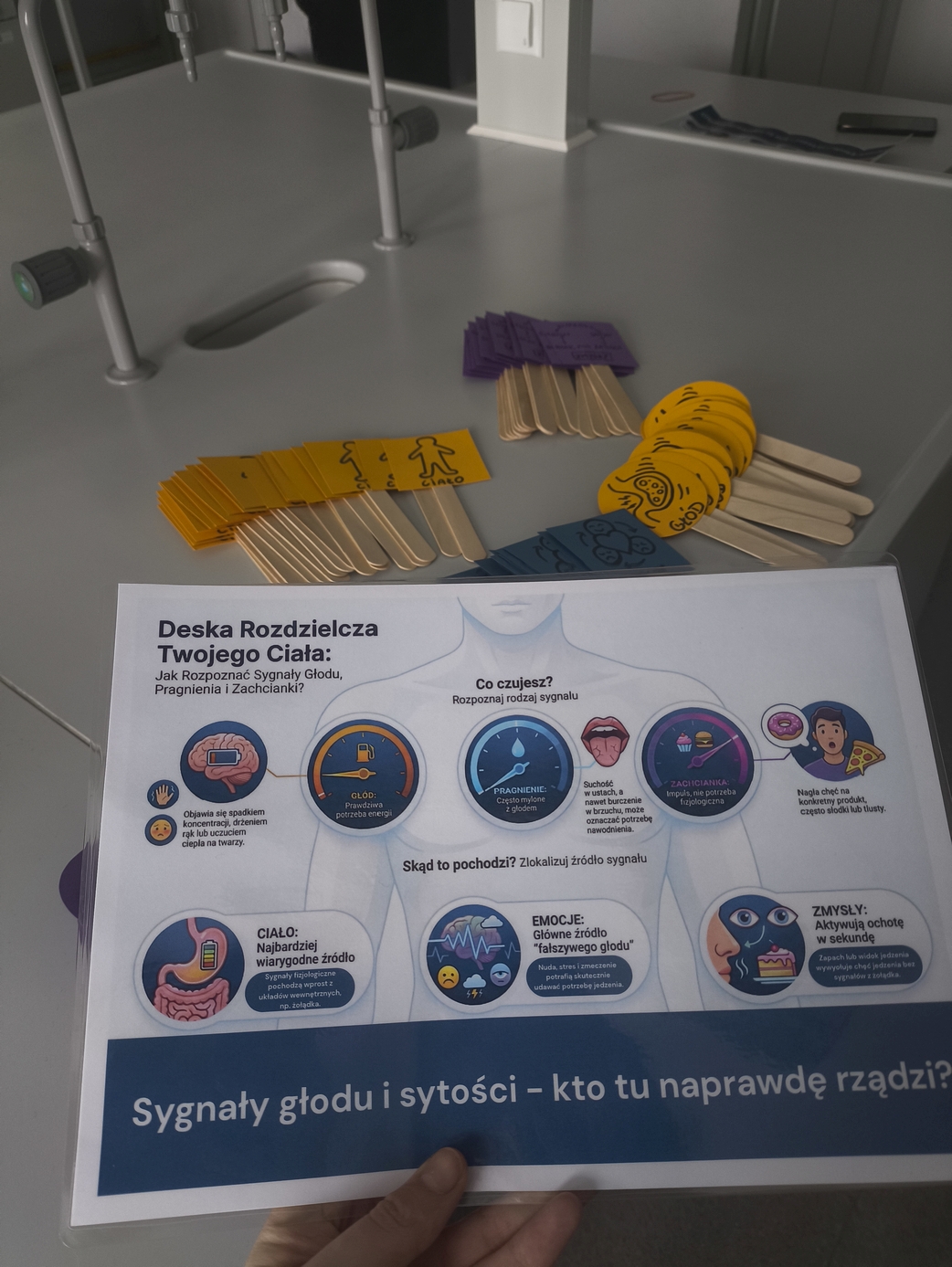 Obraz przedstawia zalaminowaną planszę edukacyjną z diagramami pokazującymi uczucia oraz sygnały ciała związane z głodem i apetytem. Układ jest schematyczny, z ilustracjami i opisami wyjaśniającymi źródła sygnałów głodu. Kolorystyka porządkuje treść i ułatwia odbiór. W tle widoczny jest laboratoryjny blat z pomocami dydaktycznymi oraz sprzętem.