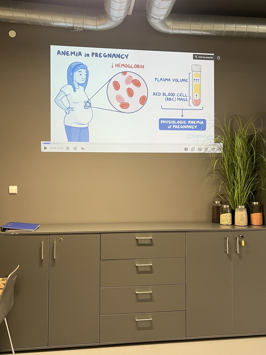 Na obrazie widoczny jest slajd prezentacji zatytułowany „Anemia w ciąży”. Przedstawia on schematyczne ilustracje wyjaśniające zjawisko fizjologicznej anemii w ciąży, w tym spadek stężenia hemoglobiny oraz zmiany objętości osocza i masy krwinek czerwonych. Slajd jest wyświetlany na ścianie nad szafką, na której znajdują się pojemniki z ziarnami oraz roślina doniczkowa.