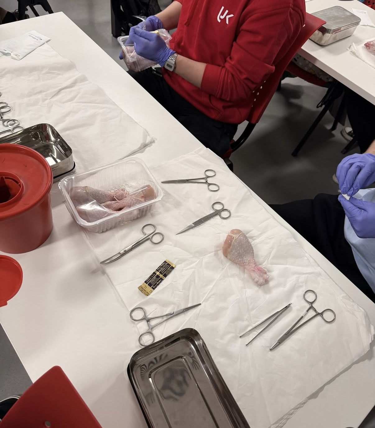 Zdjęcie przedstawia stanowisko przygotowane do ćwiczeń praktycznych z wykorzystaniem materiału biologicznego oraz narzędzi chirurgicznych. Widoczne są specjalistyczne instrumenty i wyposażenie wykorzystywane podczas zajęć dydaktycznych. Fotografia ukazuje praktyczną naukę procedur oraz zasad bezpiecznej pracy w warunkach laboratoryjnych.
