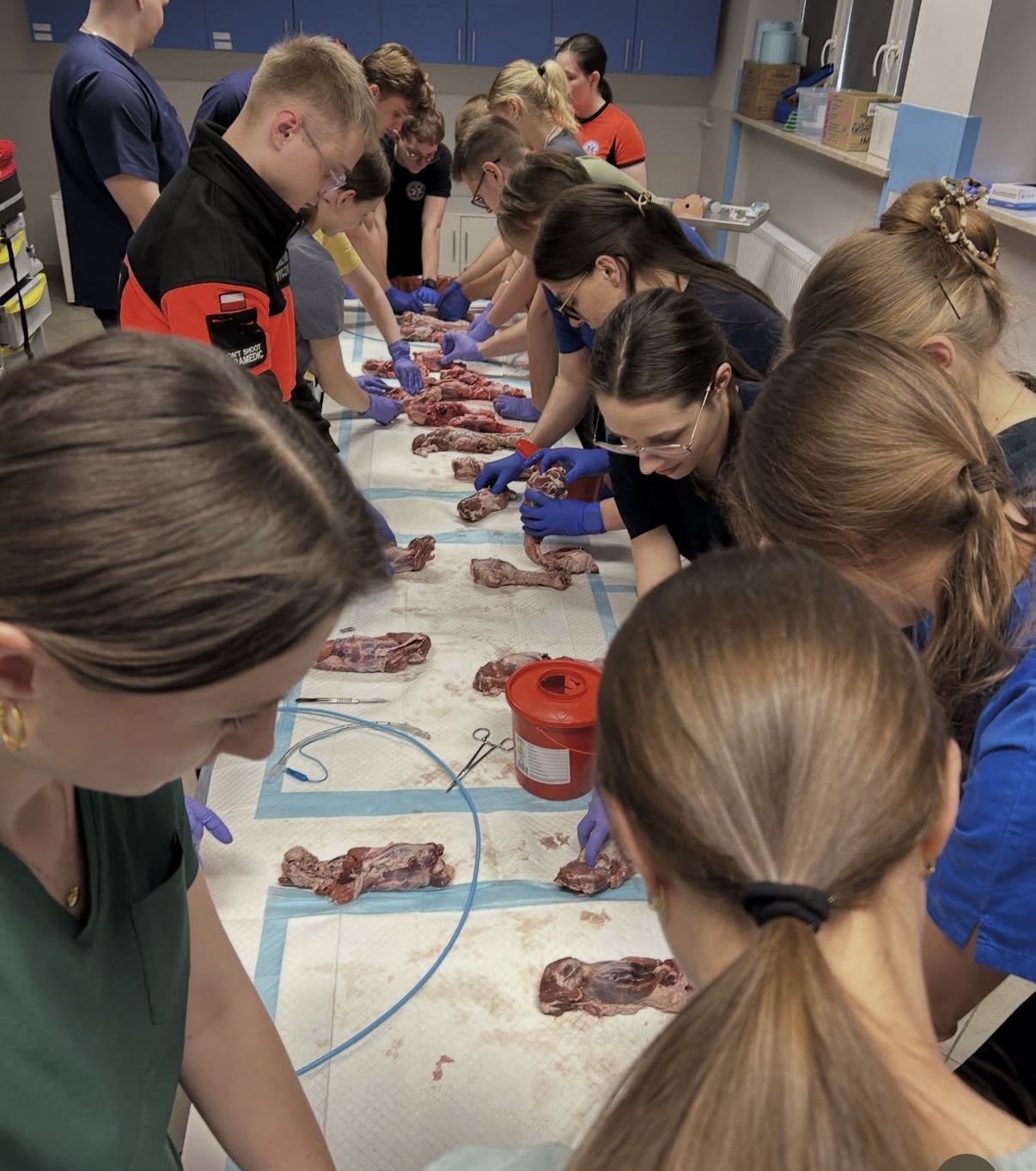 Zdjęcie przedstawia uczestnik&oacute;w wykonujących ćwiczenia praktyczne w sali laboratoryjnej. Zajęcia prowadzone są z wykorzystaniem materiału biologicznego, specjalistycznych narzędzi oraz wyposażenia wykorzystywanego podczas nauki anatomii i procedur medycznych. Fotografia ukazuje praktyczną naukę oraz doskonalenie umiejętności w warunkach laboratoryjnych.